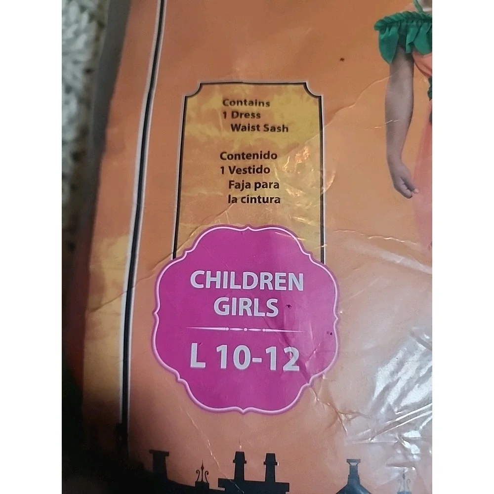 NEW Girl Halloween costume ~ children Pumpkin Princess dress LARGE 10-12